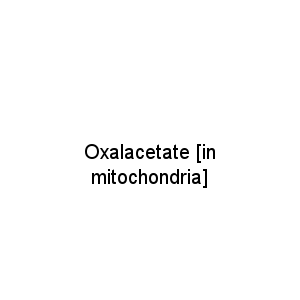 Oxalacetate [in mitochondria]